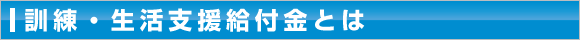 訓練・生活支援給付金とは